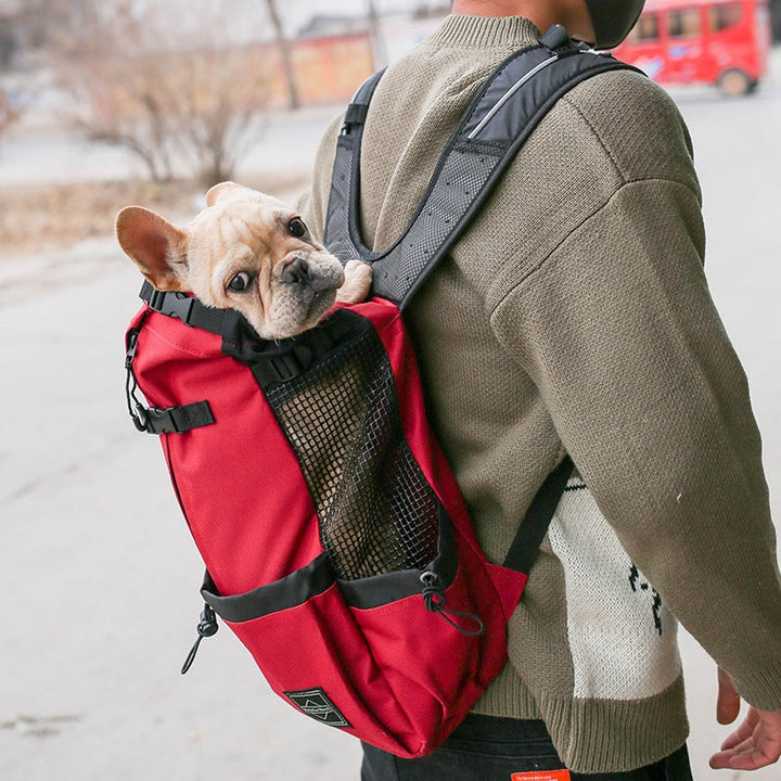 Why You Need a Portable Double Shoulder Pet Backpack Carrier For Outdoor Travel