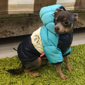 Keep Your Furry Friends Cozy and Stylish with Our Waterproof Warm Pet Cotton-padded Jacket