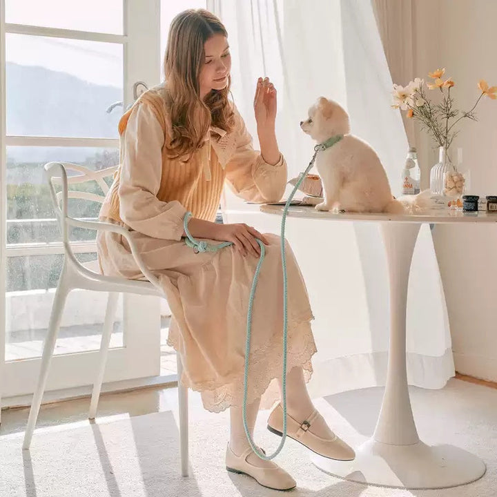 Professional Pet Leather Collar Handheld Rope Leash: The Ultimate Control for Your Furry Friend