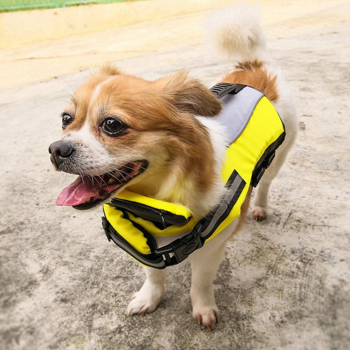 Ensure Your Pet's Safety with Our Reflective Airbag Life Jacket