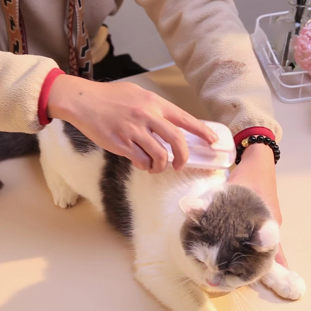 Transform Your Pet's Bath Time with the Silicone Pet Bath Brush