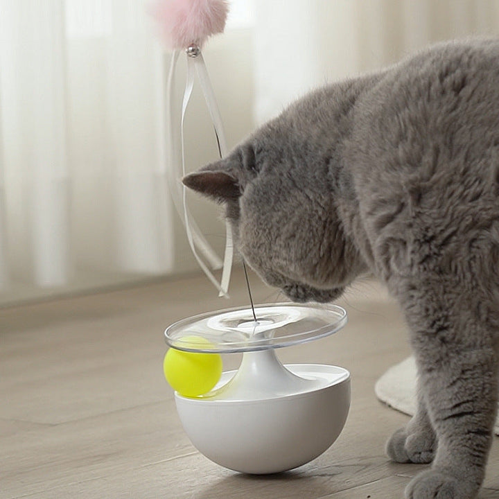 The Fun of Playtime: Introducing the Self Congratulating Funny Stick Tumbler
