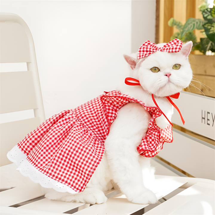Stylish and Comfortable Pet Clothes