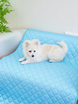 Keep Your Pets Cool This Summer with Our Waterproof Pet Cooling Mat