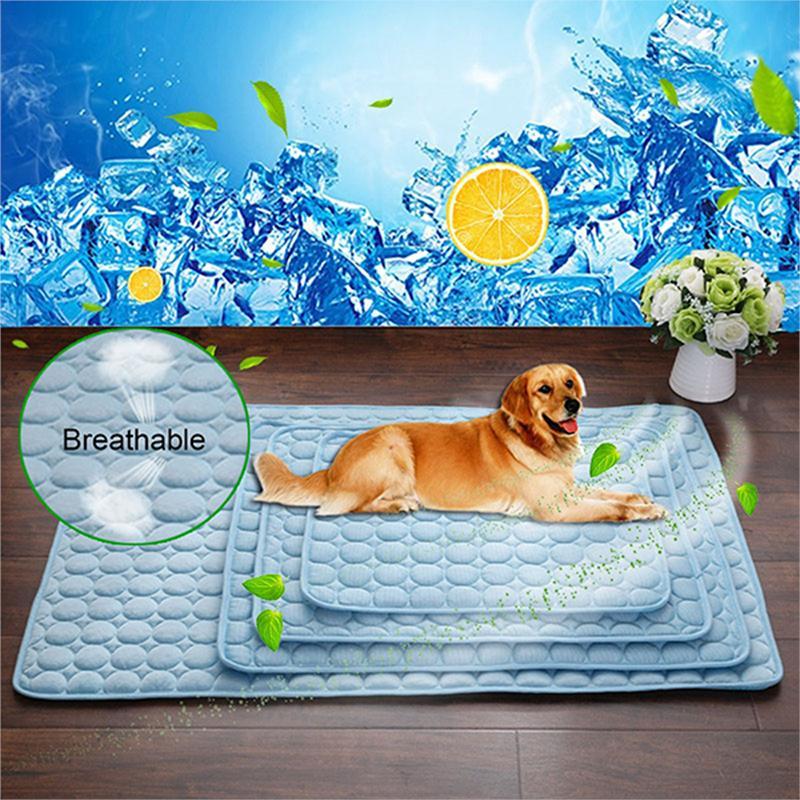 24f2a185b9e22cd05dc58f8e1fd795ed